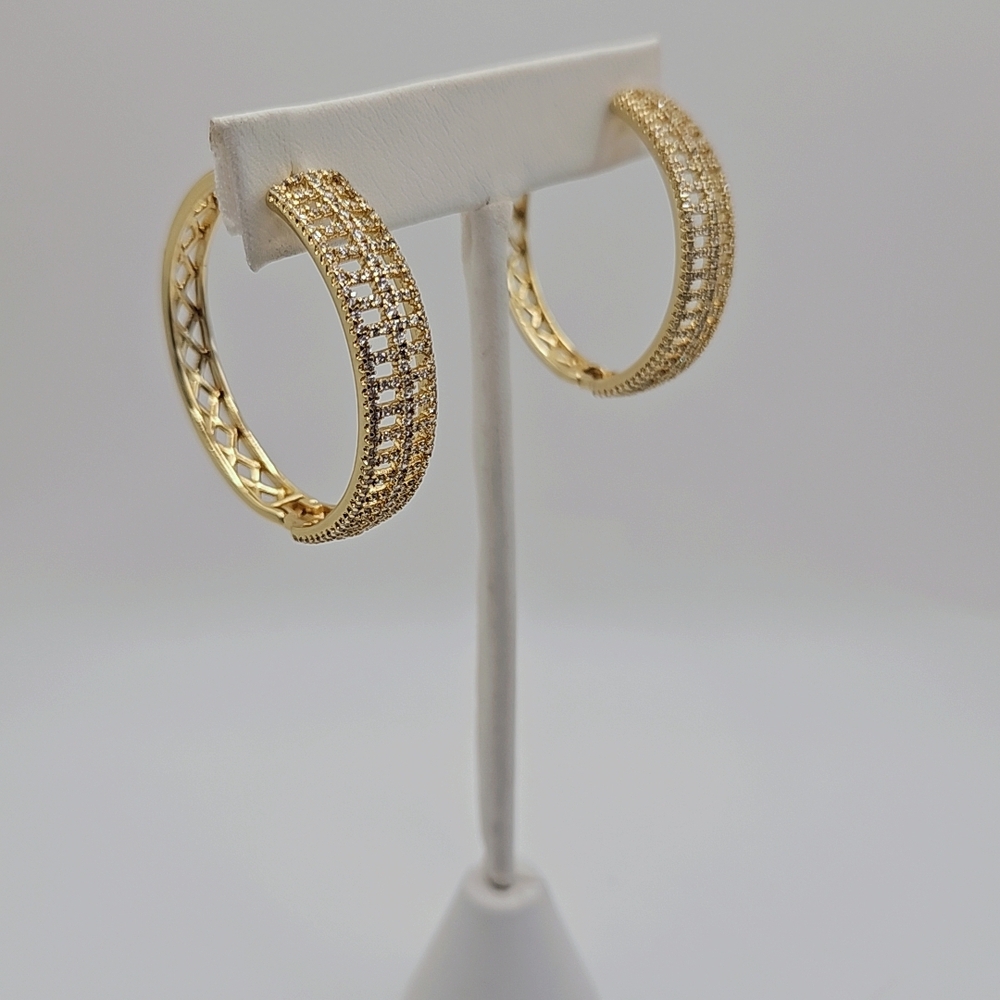 Elegant Gold Hoop Earrings